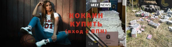 индика Майский