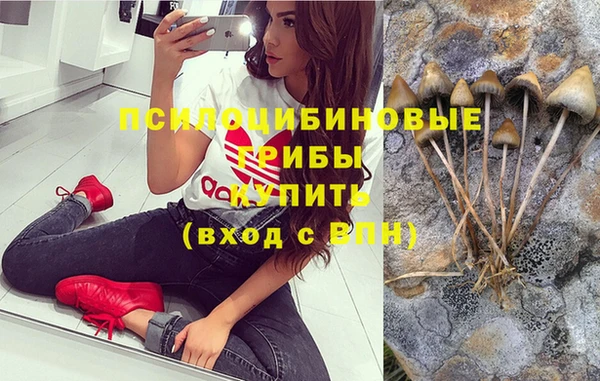 2c-b Мегион