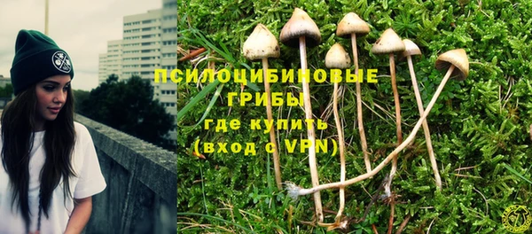 марки lsd Медвежьегорск