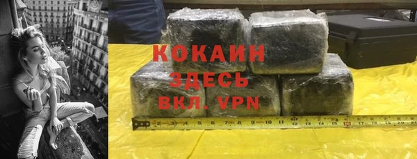 индика Майский